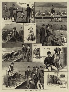 Notes at a Dog-Show